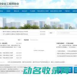 重庆市注册安全工程师协会