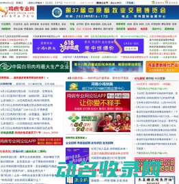鸡病专业网